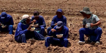Resgatados de trabalho escravo passam por formação inédita em Salvador e se tornam especialistas no combate à prática