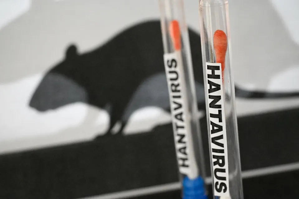OMS suspeita de possível transmissão rara de hantavírus entre pessoas em cruzeiro