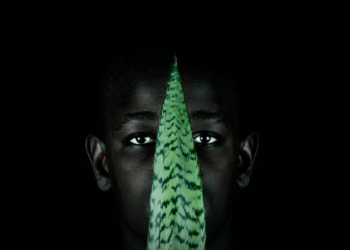 Ecologia de Sentidos: Exposição fotografia baiana contemporânea chega a Salvador em junho